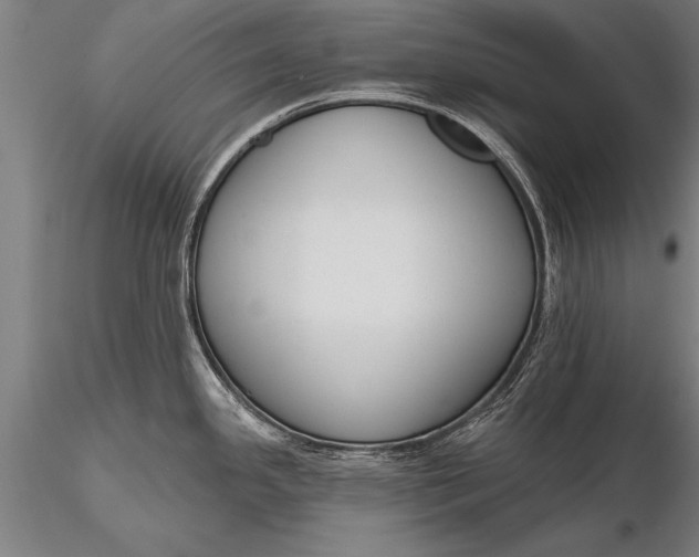 X0000116381341200912161452