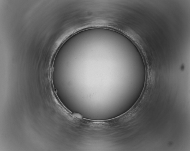 X0000116381342200912161452