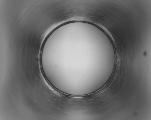 X0000116381343200912161452