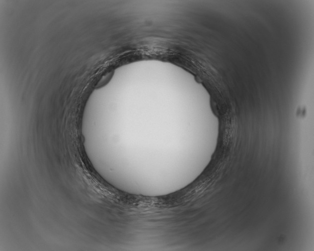 X0000116381345200912161451