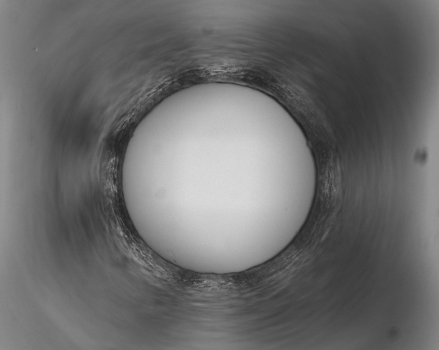 X0000116381346200912161451