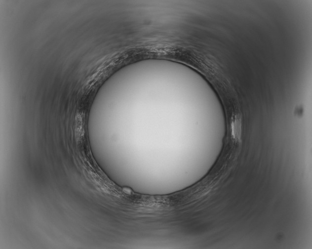 X0000116381347200912161451