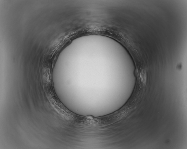 X0000116381348200912161451