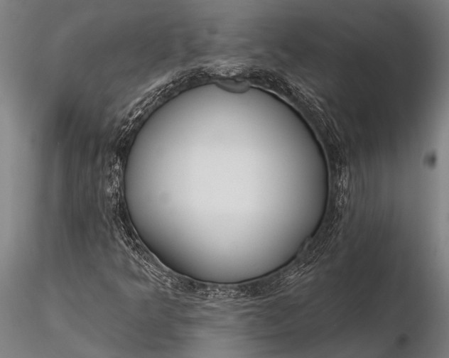 X0000116381349200912161451