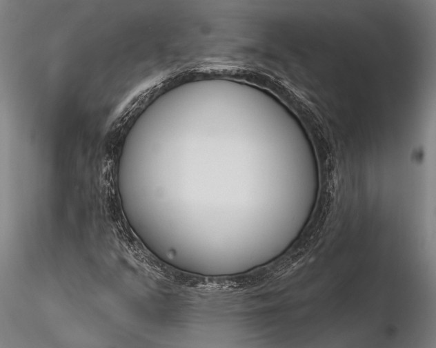 X0000116381351200912161451