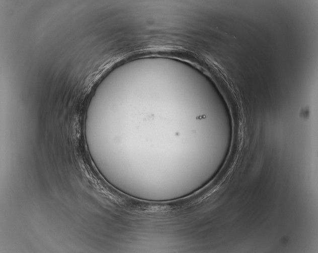 X0000116381353200912161451