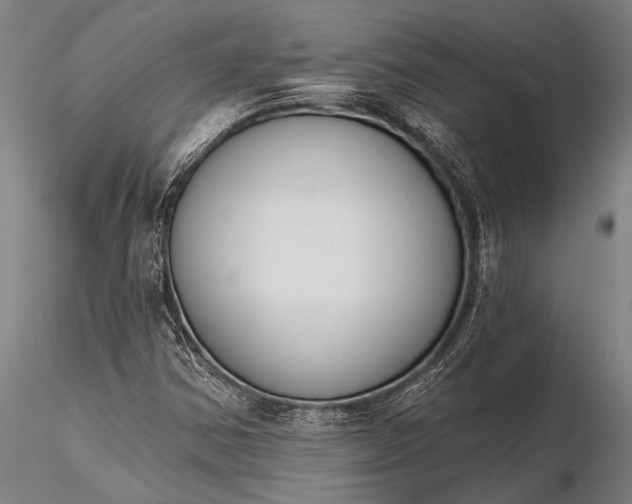 X0000116381354200912161451