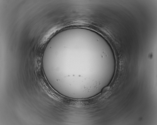 X0000116381355200912161451