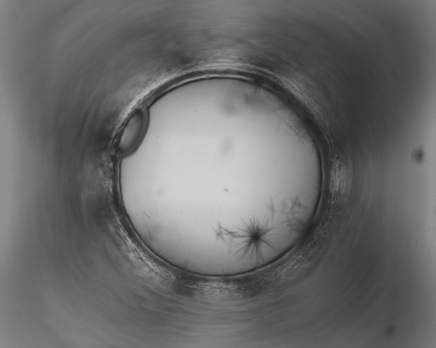 X0000116381356200912161451