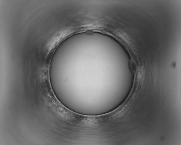 X0000116381357200912161451