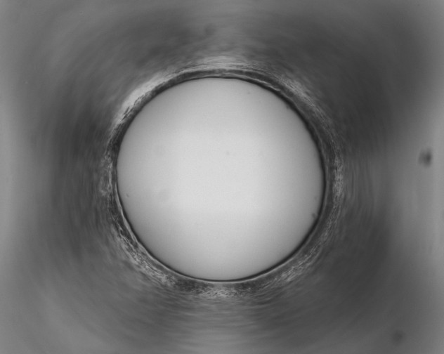 X0000116381358200912161451