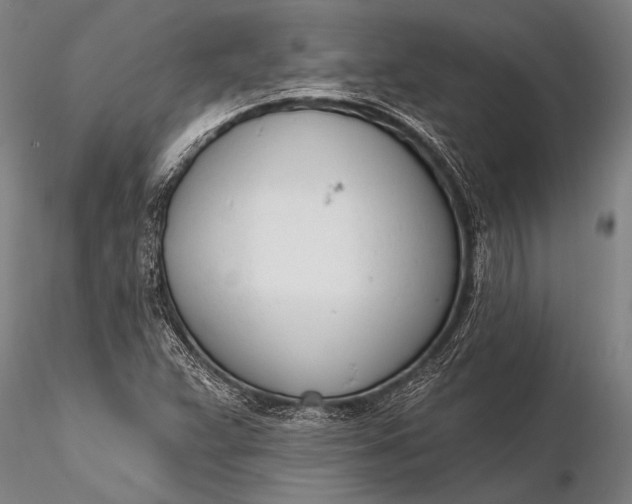 X0000116381359200912161451