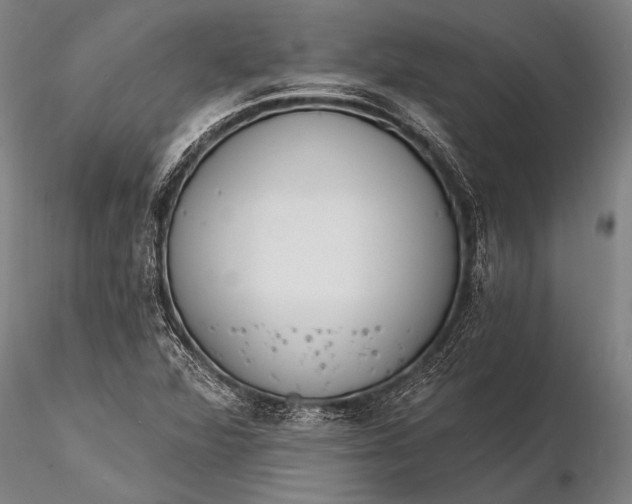 X0000116381360200912161451