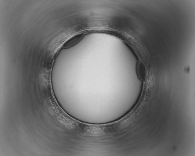 X0000116381361200912161451