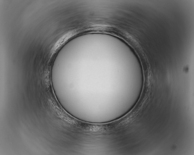 X0000116381362200912161451