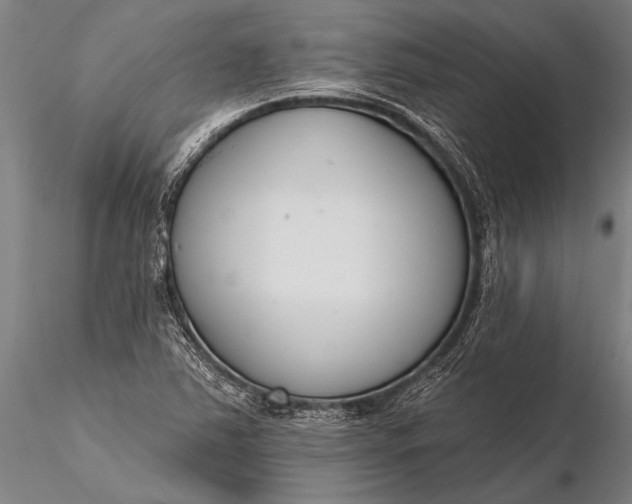 X0000116381363200912161451