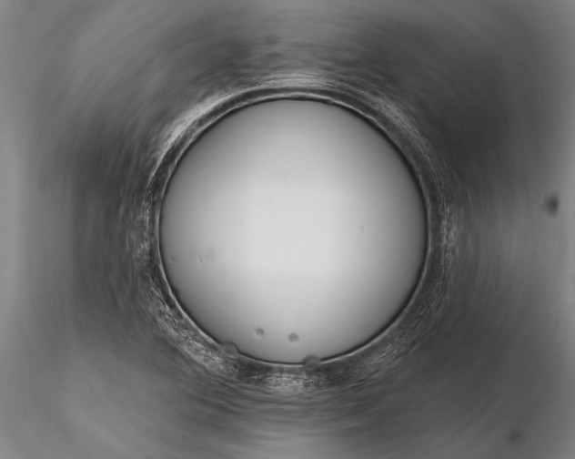 X0000116381364200912161451