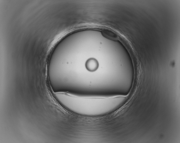 X0000116381365200912161451