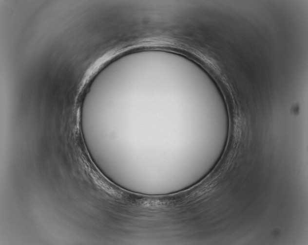 X0000116381366200912161451