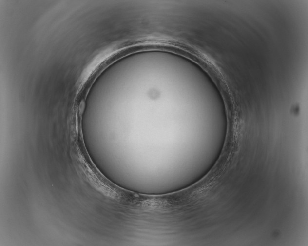 X0000116381368200912161451