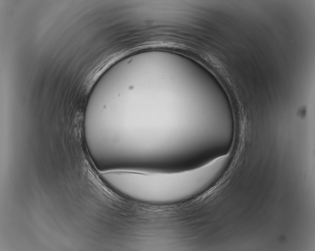 X0000116381369200912161451