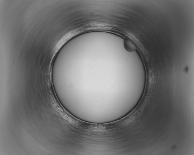 X0000116381370200912161451