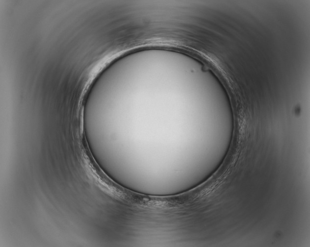 X0000116381371200912161451