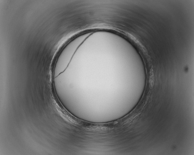 X0000116381372200912161451
