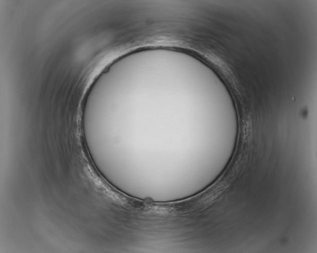 X0000116381374200912161451