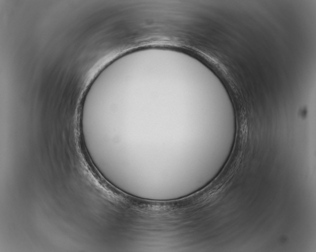 X0000116381375200912161451