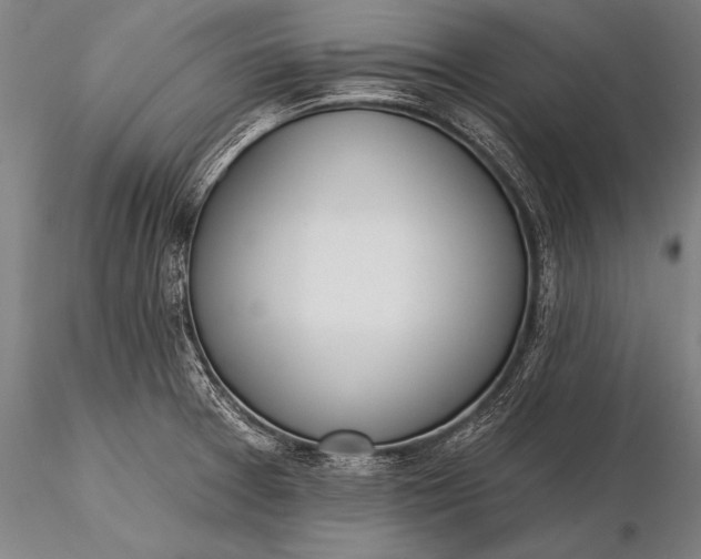 X0000116381377200912161451