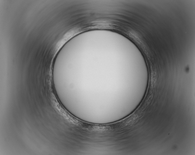 X0000116381378200912161451