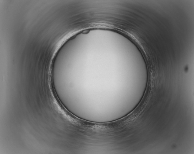 X0000116381379200912161451