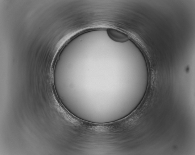 X0000116381380200912161451