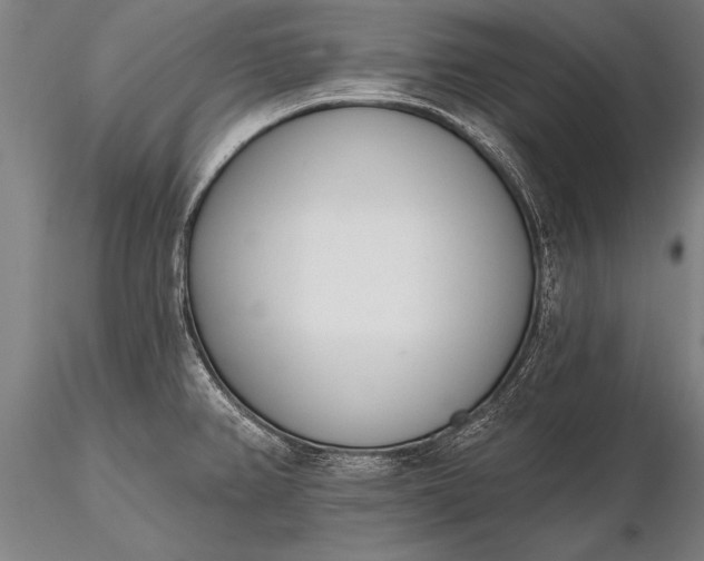 X0000116381382200912161451