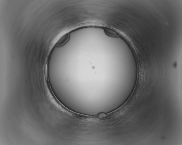 X0000116381383200912161451