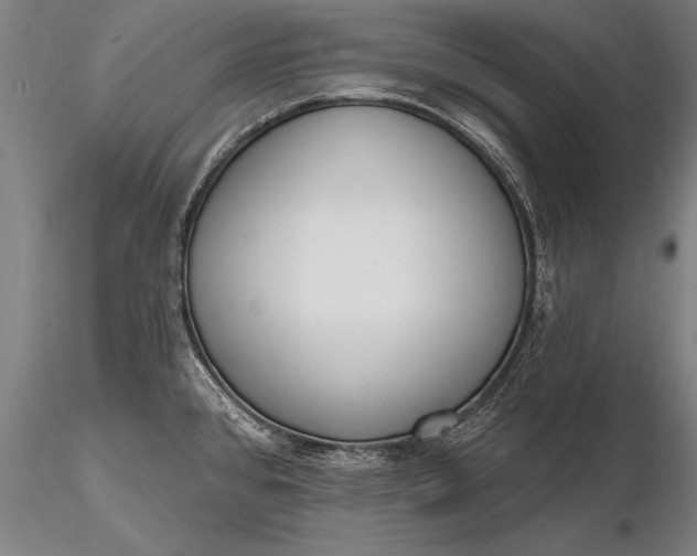 X0000116381384200912161451