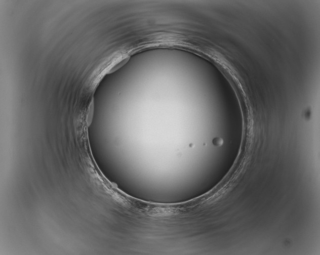 X0000116381385200912161451