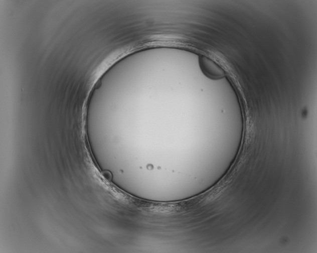 X0000116381386200912161451