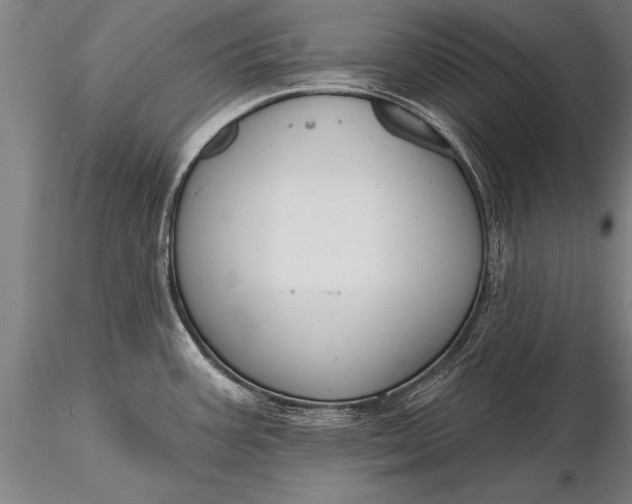 X0000116381387200912161451