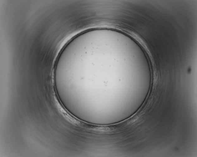 X0000116381388200912161451
