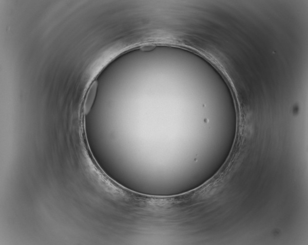 X0000116381389200912161451