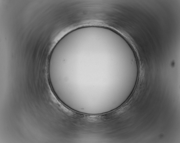 X0000116381390200912161451