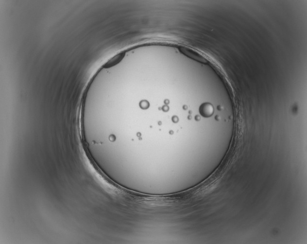 X0000116381391200912161451