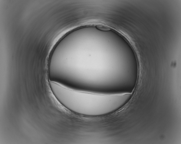 X0000116381392200912161451