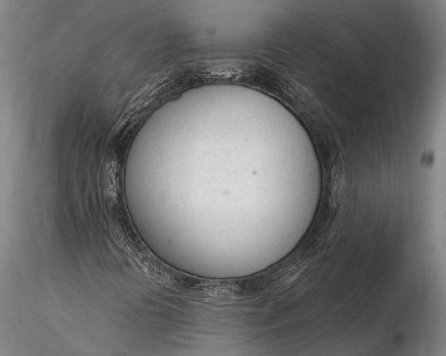 X0000116381394200912161450