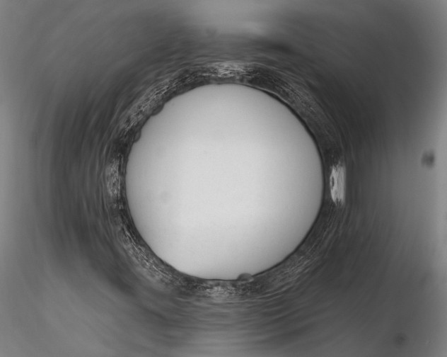 X0000116381395200912161450