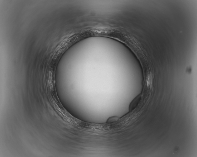 X0000116381396200912161450