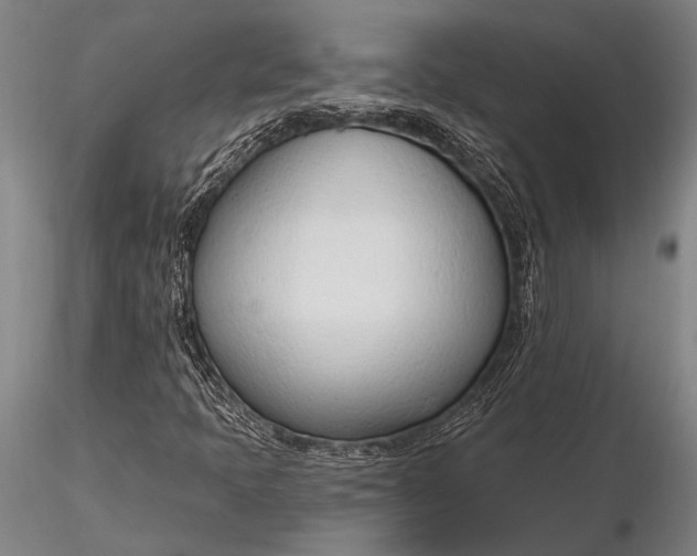 X0000116381397200912161450