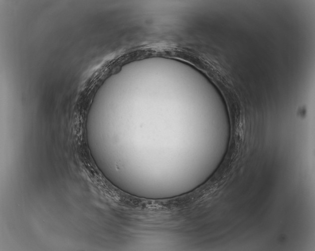 X0000116381398200912161450